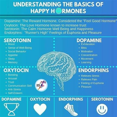 What hormone affects motivation?