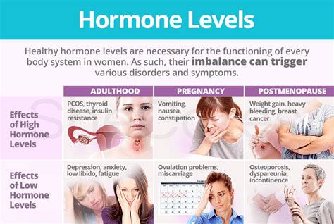 What hormone makes you feminine?