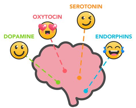 What hormone stimulates serotonin?