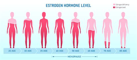 What hormones make you look feminine?