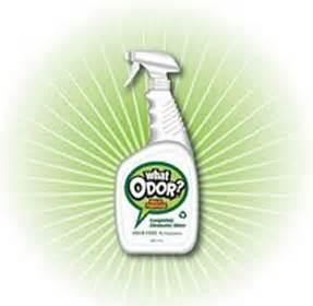 What household item absorbs odor?