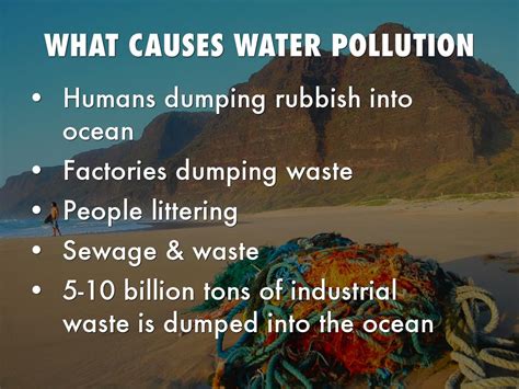 What human activities cause pollution?