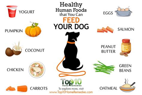 What human foods are good for dogs?