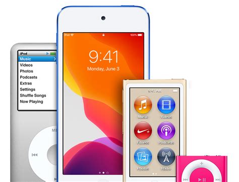 What iPods does iTunes support?