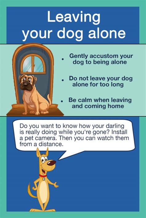 What if I leave my dog alone for 2 days?
