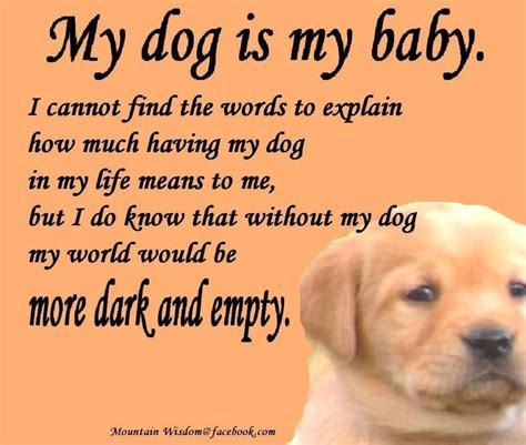What if I love my dog more than my baby?