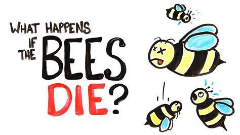 What if all the bees died?