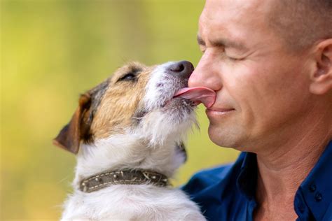 What if you kiss a dogs nose?