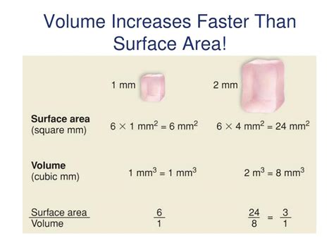 What increases faster than surface area?