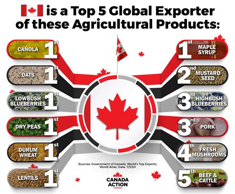 What industry is Canada a world leader in?