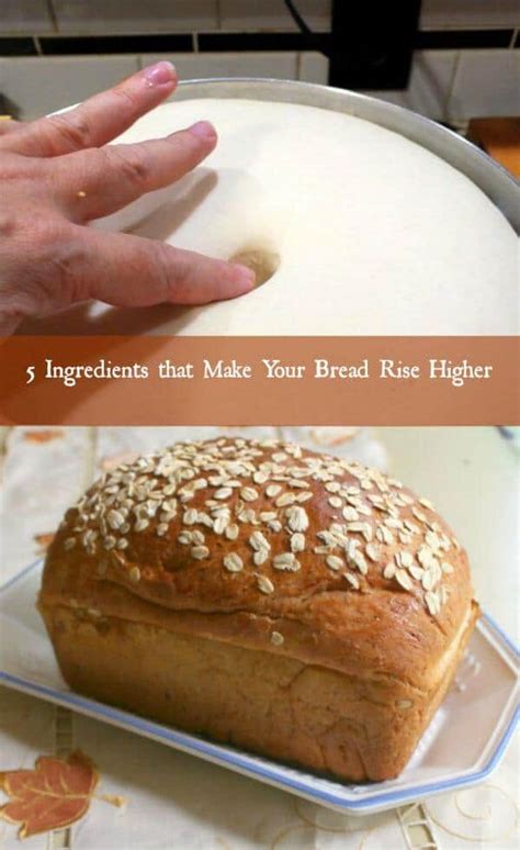 What ingredient helps bread rise?