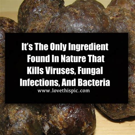 What ingredient kills fungus?
