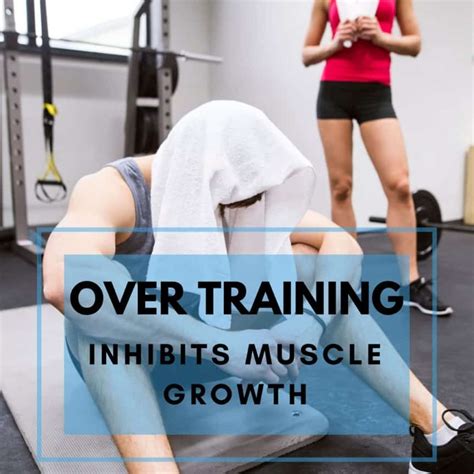 What inhibits muscle growth?