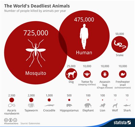 What insect kills the most humans?