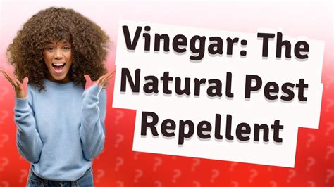 What insects hate vinegar?