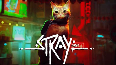 What inspired Stray?