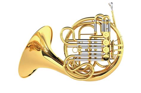 What instrument is a horn in F?