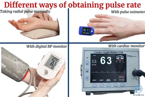 What instrument is used to take pulse?