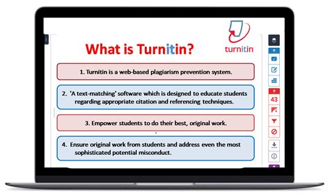 What is 1% on Turnitin?