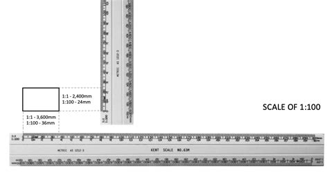 What is 1 100 scale in mm?