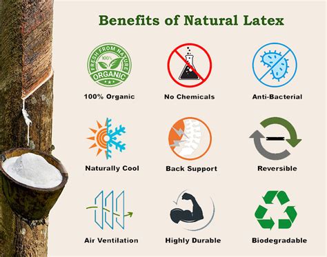 What is 100% natural latex?