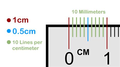 What is 1cm to 1 mm scale?