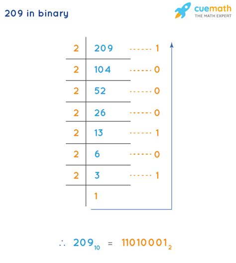 What is 209 as binary?
