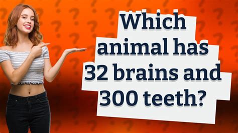 What is 32 brains?