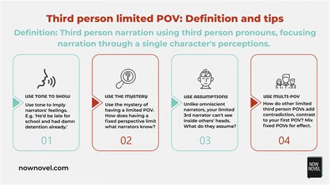 What is 3rd person limited POV?