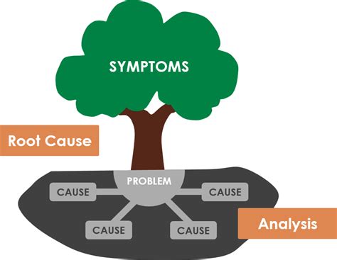 What is 5 root analysis?