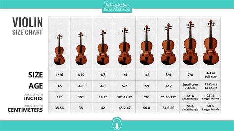 What is A 52 cm violin?