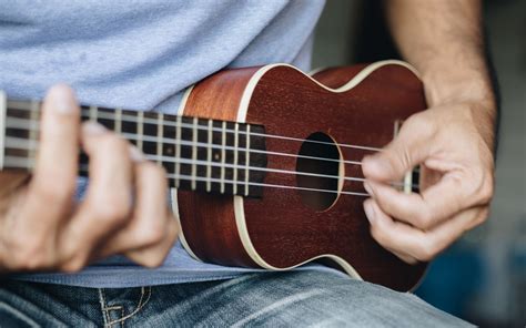 What is A ukulele player called?