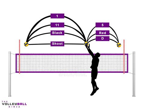 What is ABCD in volleyball?