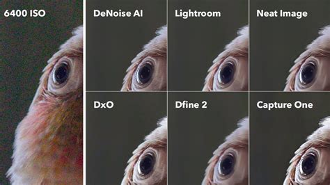 What is AI noise removal?