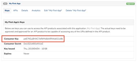 What is API key format?