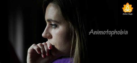 What is Animotophobia?