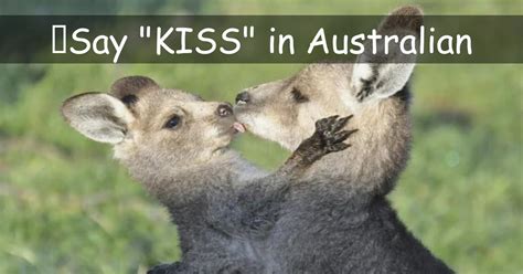 What is Australian kiss?