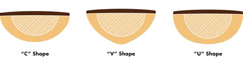 What is C vs U neck shape?