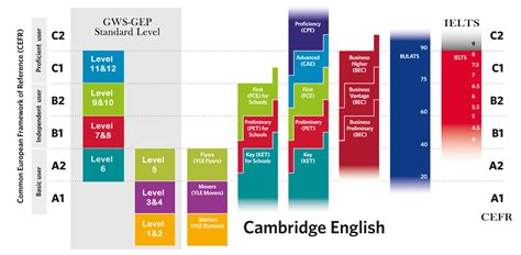 What is Cambridge as level?