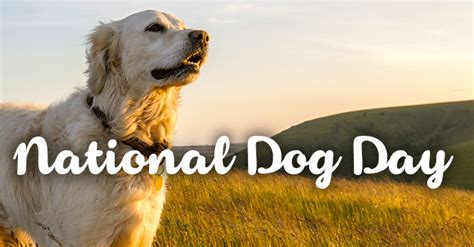 What is Canada's national dog?