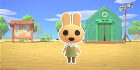 What is Coco Animal Crossing?