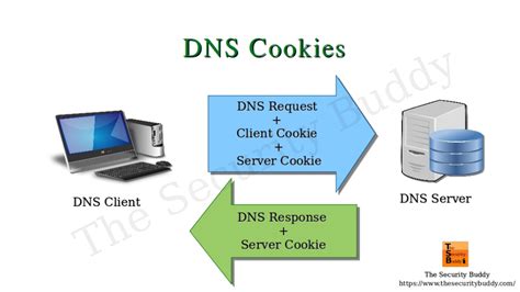 What is DNS cookie?