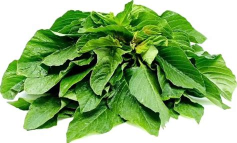 What is Efo leaf in English?