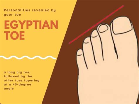 What is Egyptian toes?