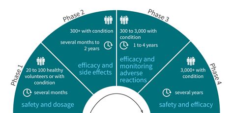 What is FDA Phase 4?