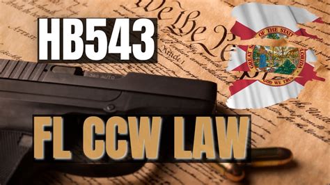 What is Florida's new gun law?