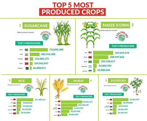 What is France's main crops?