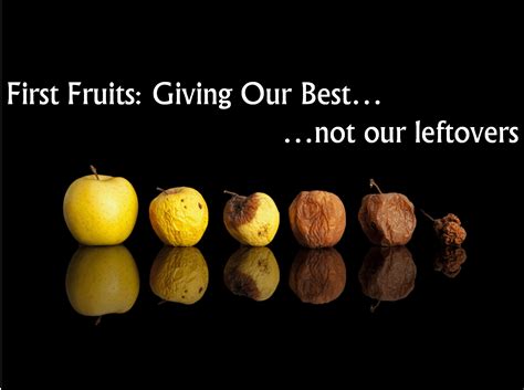 What is God's first fruit?