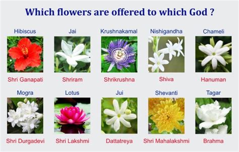 What is God's flower?