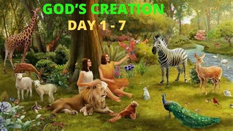 What is God in creation?